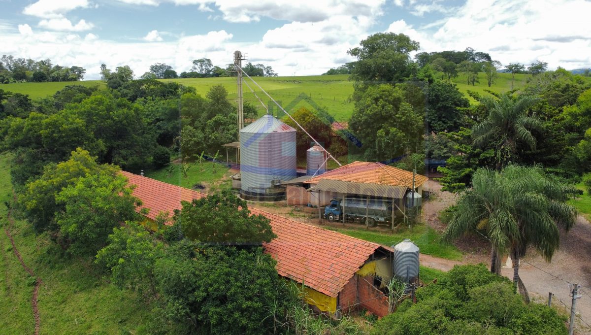 Granja 10