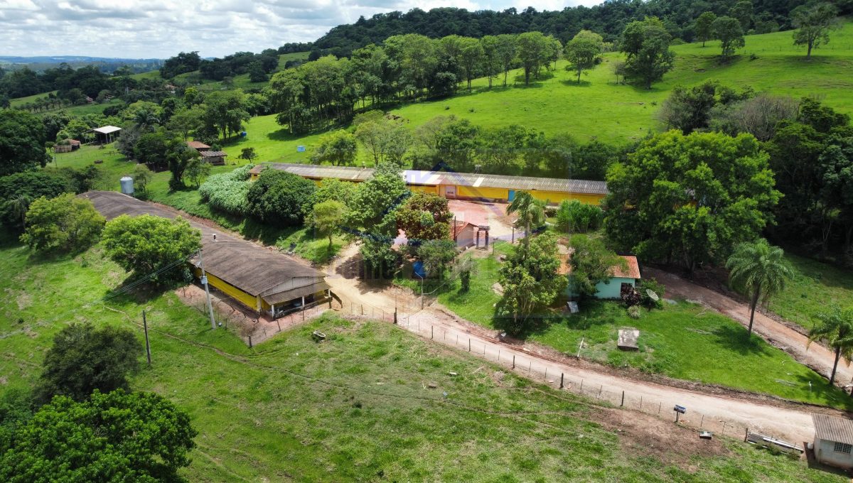 Granja (2)