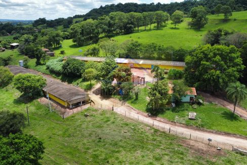 Granja (2)