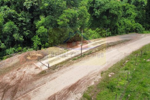 Granja (3)