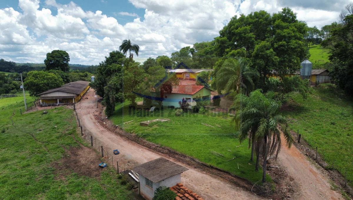 Granja (4)
