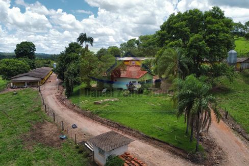 Granja (4)
