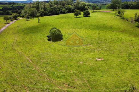 Granja (5)