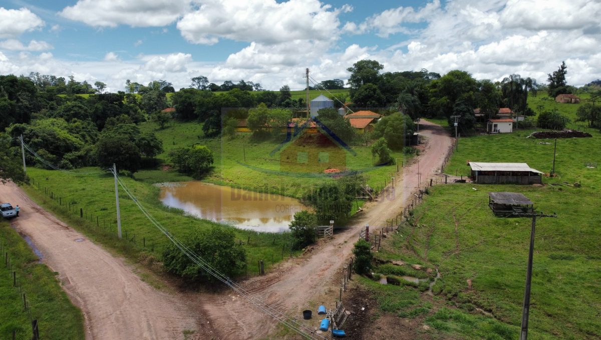 Granja (6)
