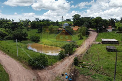 Granja (6)