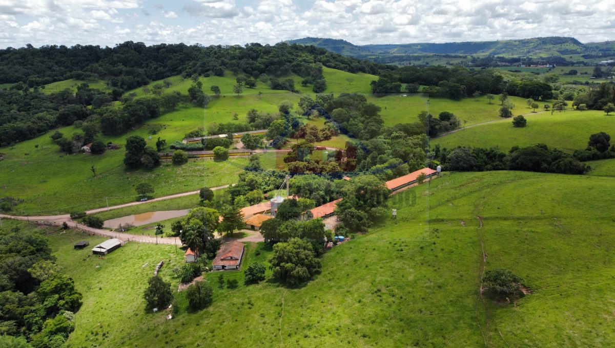 Granja 7