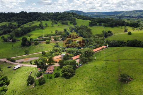 Granja 7