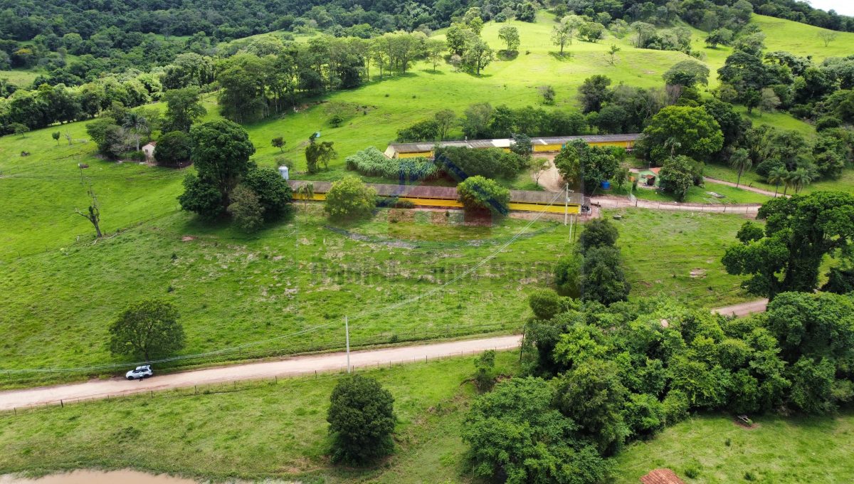 Granja 8