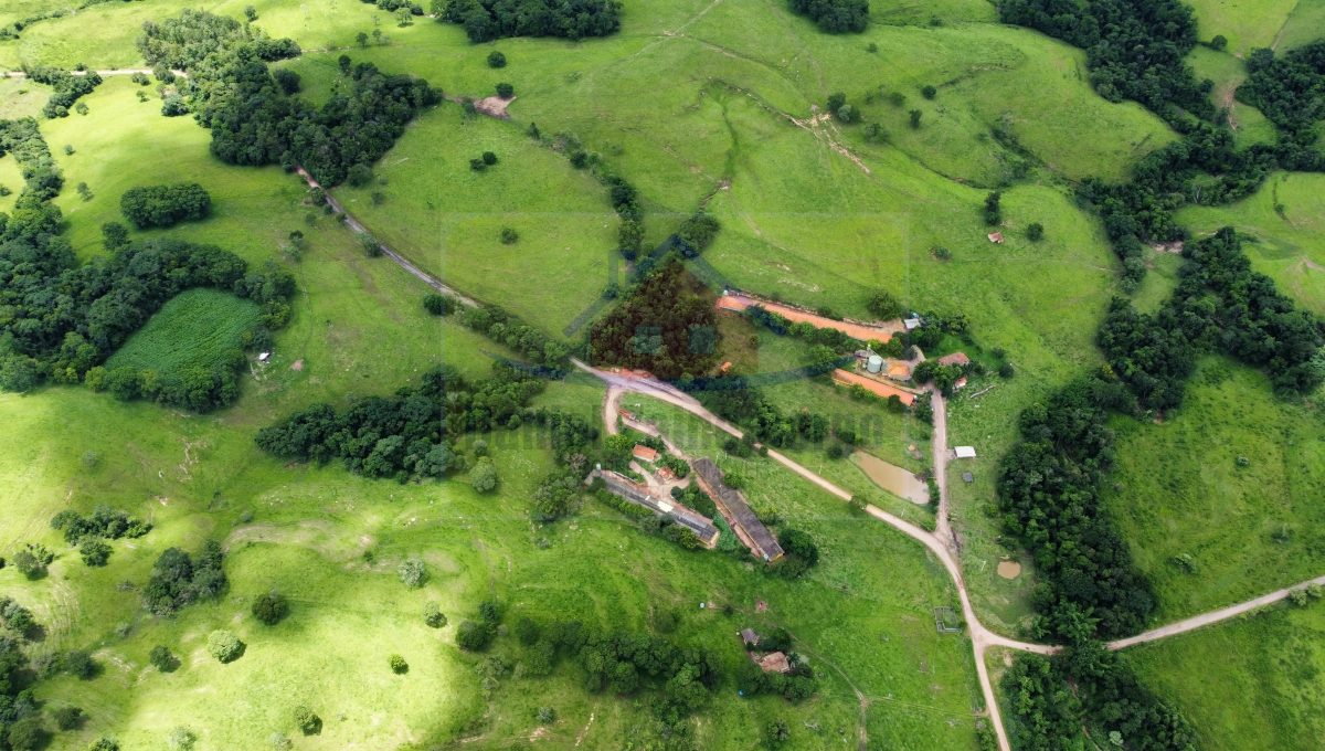 Granja 9
